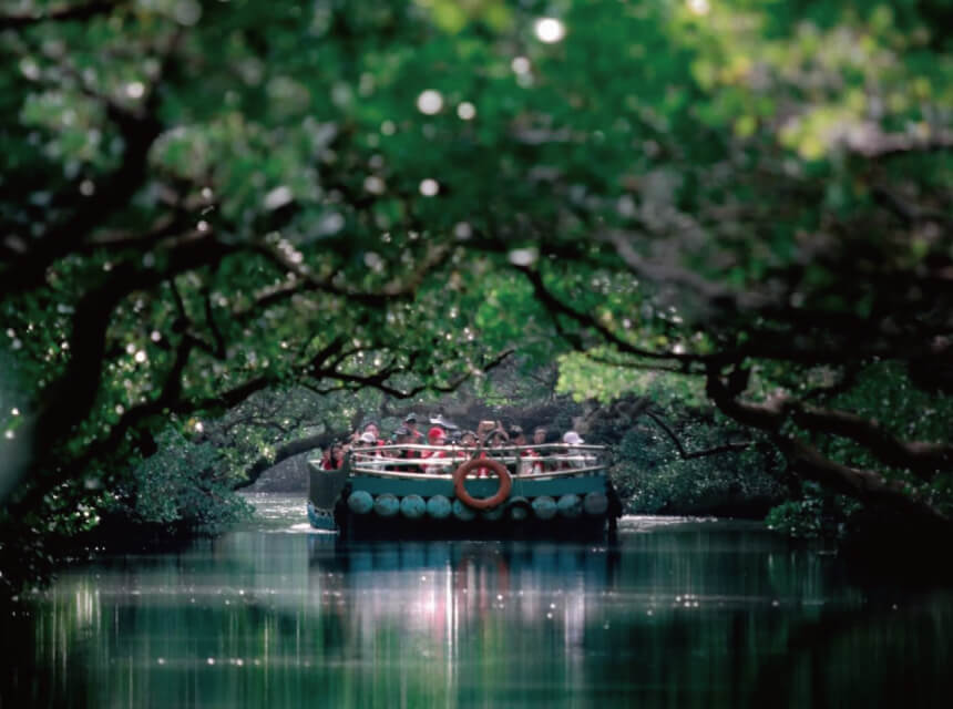 Taijiang National Park photo