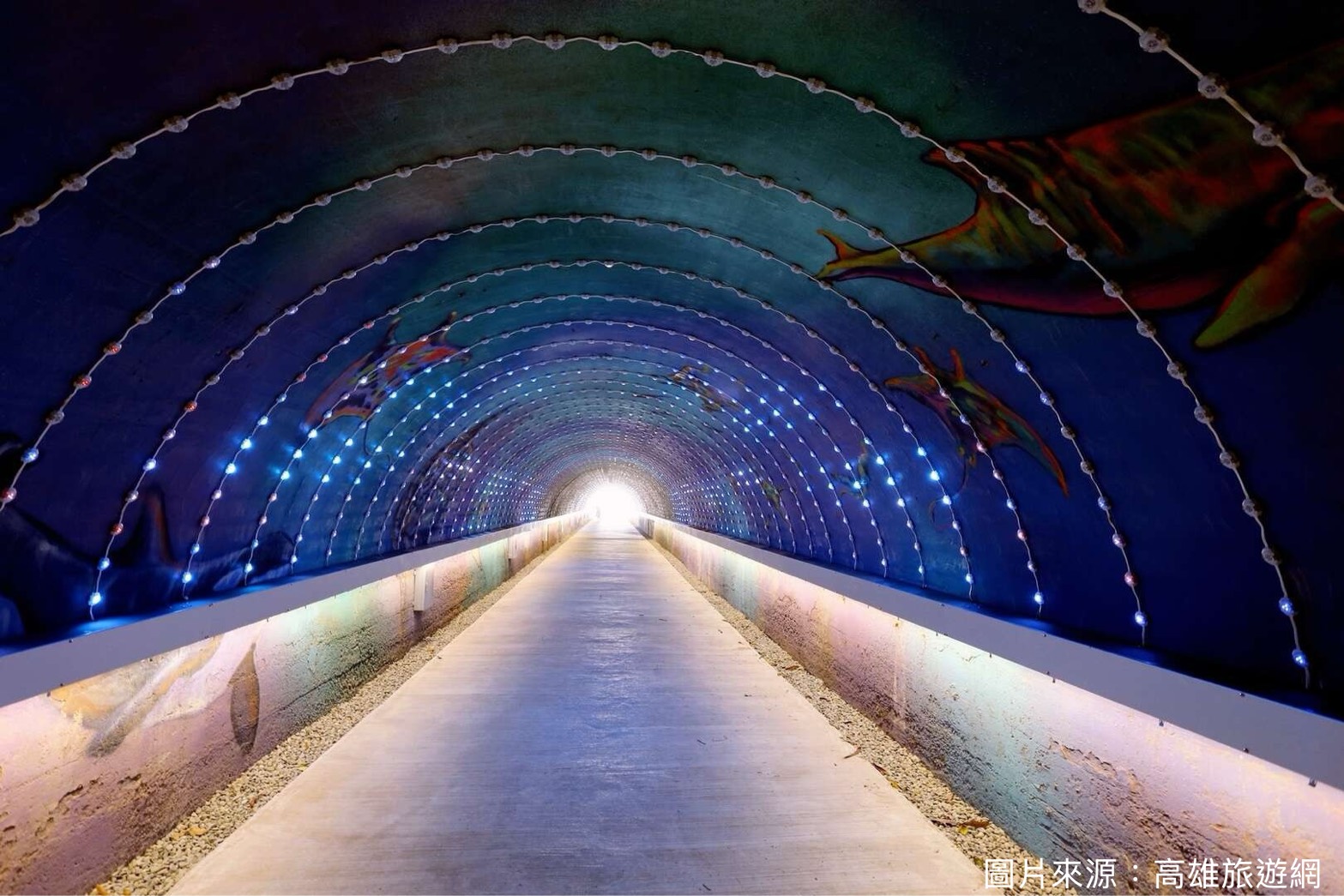 Shanhai Joy Travel Charter - Travel Guide Image