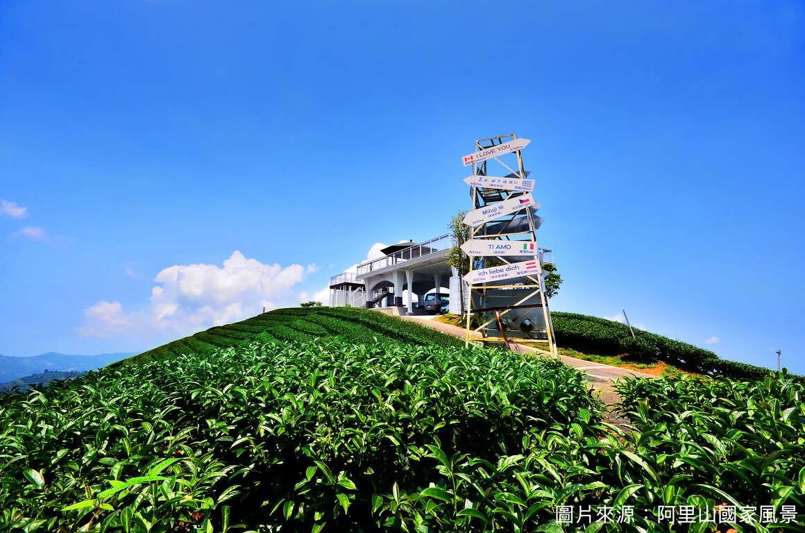 Shanhai Joy Travel Charter - Travel Guide Image