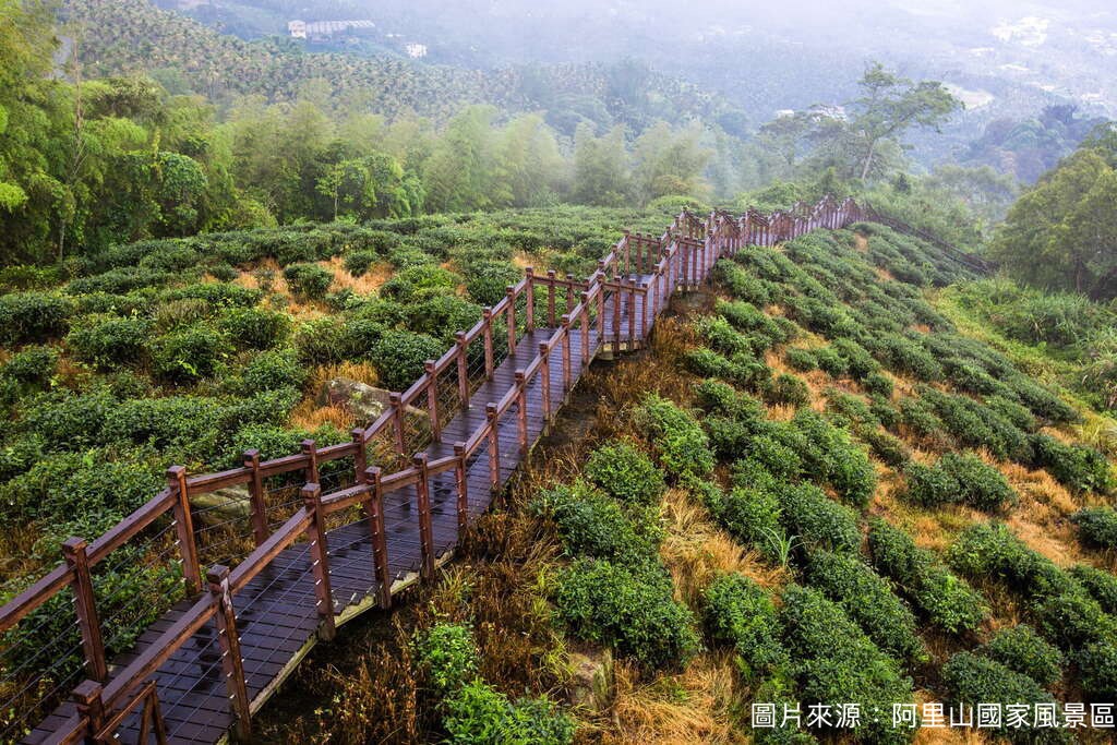 Shanhai Joy Travel Charter - Travel Guide Image
