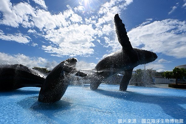 Shanhai Joy Travel Charter - Attractions Image
