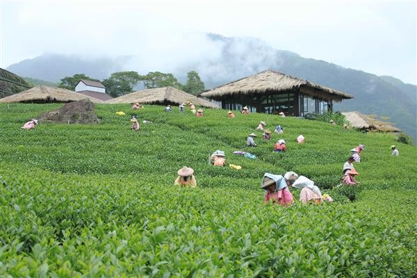 Shanhai Joy Travel Charter - Attractions Image