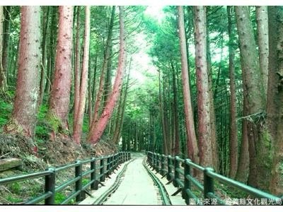 特富野古道的第1張圖片